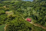Bangunan Koperasi Desa (Kopdes) Merah Putih yang berdiri di kawasan kaki Gunung Ciremai/Foto : Dok. Istimewa