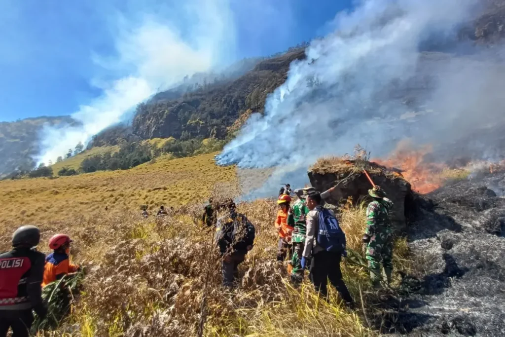 Kebakaran hutan dan lahan di kawasan Taman Nasional Bromo Tengger Semeru (TNBTS) yang terjadi pada Kamis (6/8)/Foto : Dok. BPBD Kabupaten Probolinggo
