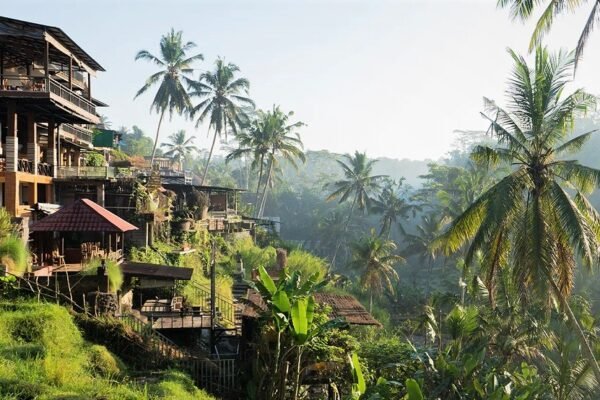Desa Mas, Ubud, menjadi salah satu desa wisata di Bali yang dapat menjadi pilihan untuk menikmati suasana Pulau Dewata dengan pengalaman yang lebih autentik/Foto : Dok. Istimewa