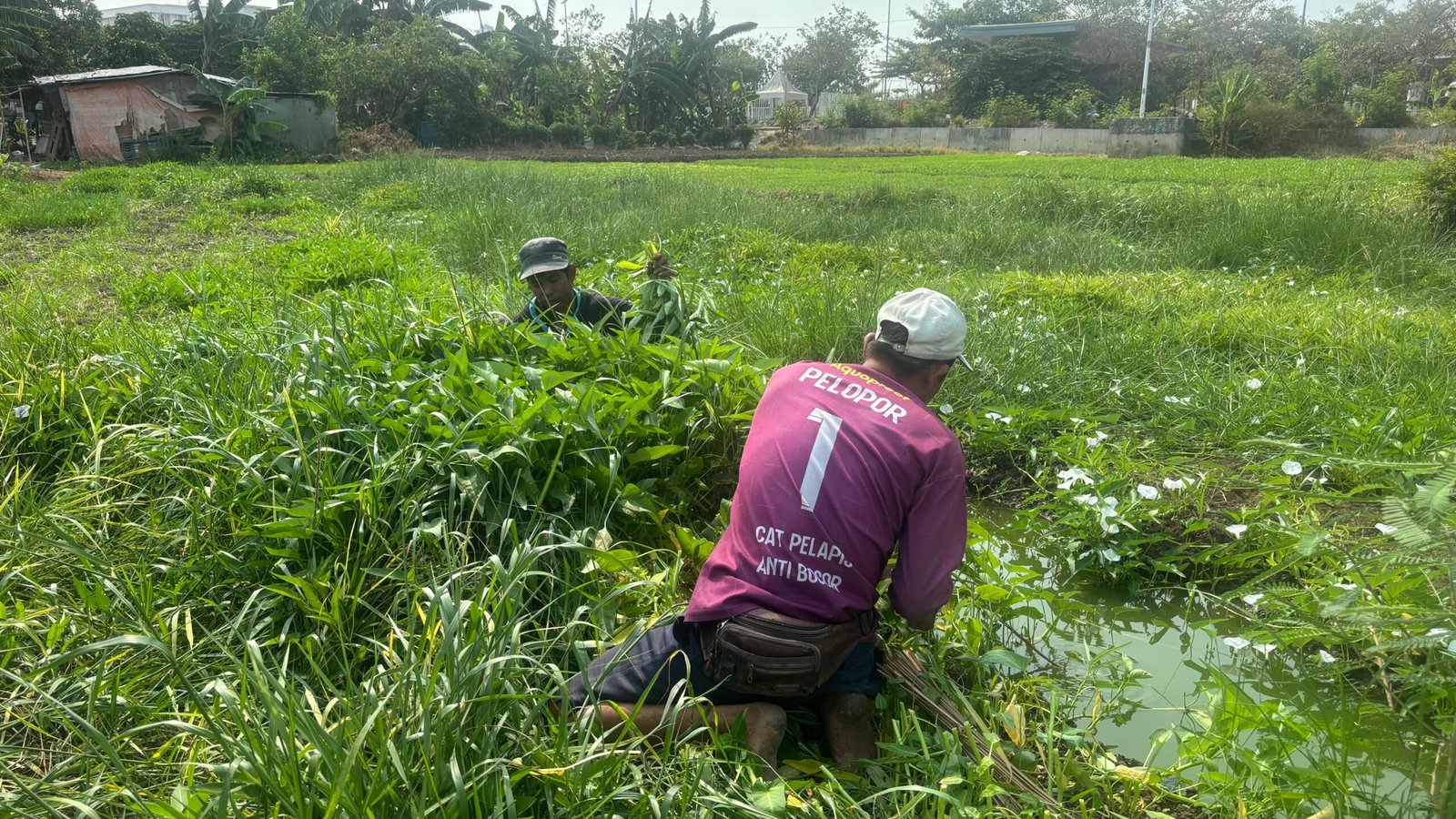 Akim, petani sayur yang menggarap lahan kosong di sekitar Jakarta International Stadium (JIS), Jakarta Utara/Foto : Dok. GPriority (Nindya Farhah Azzahrah)