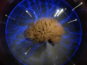 Studi yang dipublikasikan di jurnal Nature Neuroscience pada 18 September 2026 menemukan bahwa otak manusia berkembang dari dua sistem saraf berbeda yang kemudian menyatu dan bekerja sebagai satu kesatuan/Foto : Ilustrasi Dok. iStock