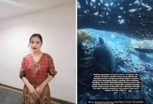 Prilly Murka, WNA Diduga Tusuk Penyu di Raja Ampat Dicegah Keluar Indonesia