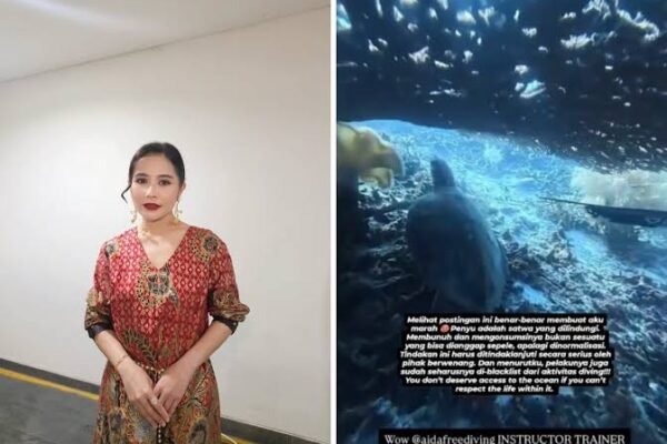 Prilly Latuconsina ikut menyoroti kasus dugaan perburuan penyu yang melibatkan warga negara asing (WNA) asal China, Wei Shang, di perairan Raja Ampat, Papua Barat Daya/Foto : Dok. Istimewa