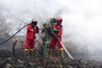236.116 kasus Infeksi Saluran Pernapasan Akut (ISPA) tercatat sepanjang Januari hingga 22 Agustus 2026 di Kalimantan Timur/Foto : Dok. Kementerian Kehutanan