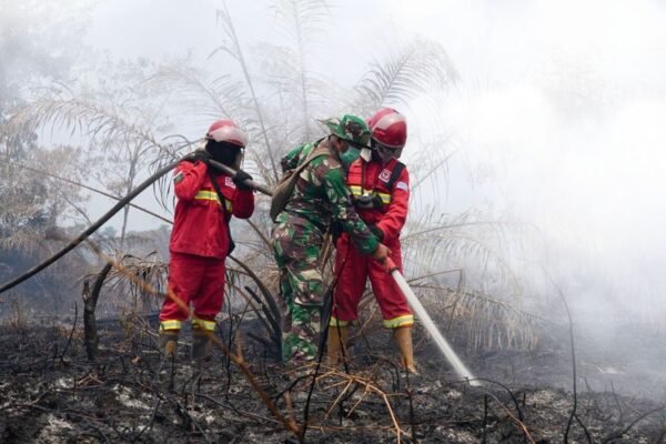 236.116 kasus Infeksi Saluran Pernapasan Akut (ISPA) tercatat sepanjang Januari hingga 22 Agustus 2026 di Kalimantan Timur/Foto : Dok. Kementerian Kehutanan