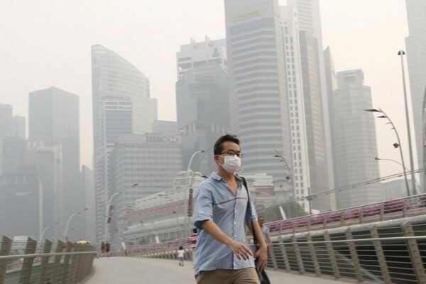 Penjualan air purifier di Singapura melonjak 600 persen buntut asap Karhutla di indonesia/Foto : Dok. Istimewa