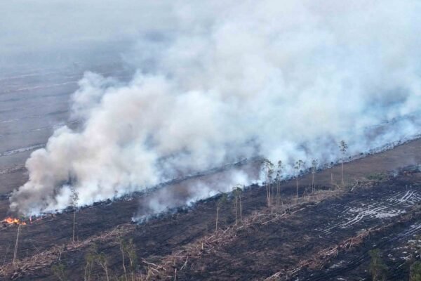 Asap karhutla Merauke dilaporkan telah mencapai Maluku/Foto : Dok. Istimewa